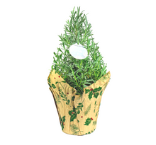 Load image into Gallery viewer, Lavender Tree